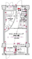 シンシア三軒茶屋レジデンスカフェの物件間取画像